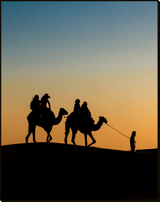 About Arabian Desert Safari